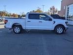 2024 Ford F-150 SuperCrew Cab RWD, Pickup for sale #T481415 - photo 4