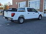 2024 Ford F-150 SuperCrew Cab RWD, Pickup for sale #T481415 - photo 2