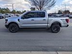 New 2024 Ford F-150 STX SuperCrew Cab 4WD, Pickup for sale #T481422 - photo 7