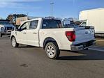 New 2024 Ford F-150 XL SuperCrew Cab RWD, Pickup for sale #T481438 - photo 6