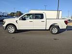 New 2024 Ford F-150 XL SuperCrew Cab RWD, Pickup for sale #T481438 - photo 7