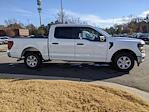 New 2024 Ford F-150 XL SuperCrew Cab RWD, Pickup for sale #T481439 - photo 4