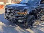 New 2024 Ford F-150 XLT SuperCrew Cab 4WD, Pickup for sale #T481451 - photo 10