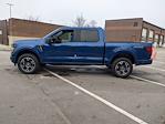 New 2024 Ford F-150 STX SuperCrew Cab 4WD, Pickup for sale #T481456 - photo 7