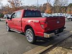 New 2024 Ford F-150 XLT SuperCrew Cab 4WD, Pickup for sale #T481476 - photo 6