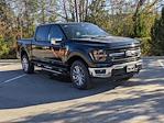 New 2024 Ford F-150 XLT SuperCrew Cab 4WD, Pickup for sale #T481477 - photo 1