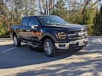 New 2024 Ford F-150 XLT SuperCrew Cab 4WD, Pickup for sale #T481477 - photo 3