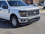 New 2024 Ford F-150 XL SuperCrew Cab 4WD, Pickup for sale #T481482 - photo 10