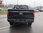 New 2024 Ford F-150 XLT SuperCrew Cab 4WD, Pickup for sale #T481487 - photo 5