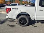 New 2024 Ford F-150 XLT SuperCrew Cab 4WD, Pickup for sale #T481490 - photo 39