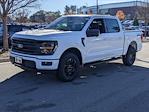 New 2024 Ford F-150 XLT SuperCrew Cab 4WD, Pickup for sale #T481490 - photo 8