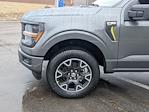 New 2024 Ford F-150 STX SuperCrew Cab 4WD, Pickup for sale #T481497 - photo 11