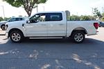 New 2024 Ford F-150 XLT SuperCrew Cab RWD, Pickup for sale #T481242 - photo 5