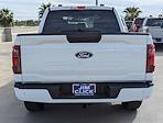 New 2024 Ford F-150 STX SuperCrew Cab 4x2, Pickup for sale #J241293 - photo 3