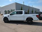 New 2024 Ford F-150 XLT SuperCrew Cab 4x4, Pickup for sale #RFA45487 - photo 3