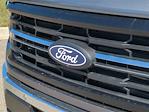 2024 Ford F-150 SuperCrew Cab 4x4, Pickup for sale #RFA61576 - photo 10