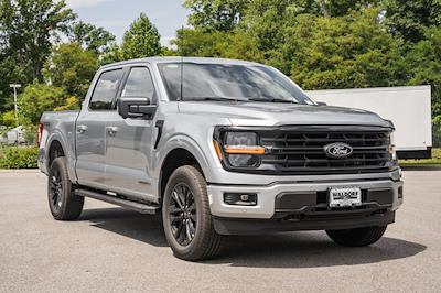 New 2024 Ford F-150 XLT SuperCrew Cab 4WD, Pickup for sale #WB41501 - photo 1