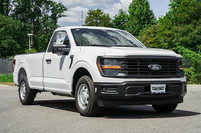 New 2024 Ford F-150 XL Regular Cab RWD, Pickup for sale #WE55546 - photo 1