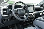 New 2024 Ford F-150 XL Regular Cab RWD, Pickup for sale #WE55546 - photo 21