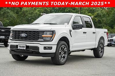 2024 Ford F-150 SuperCrew Cab 4WD, Pickup for sale #WE89361 - photo 1