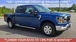 2023 Ford F-150 SuperCrew Cab 4WD, Pickup for sale #WP313 - photo 1