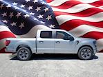 2024 Ford F-150 SuperCrew Cab RWD, Pickup for sale #DD1114 - photo 24