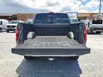 2024 Ford F-150 SuperCrew Cab RWD, Pickup for sale #DD1116 - photo 10