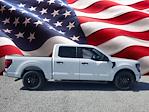 2024 Ford F-150 SuperCrew Cab RWD, Pickup for sale #DL1873 - photo 28