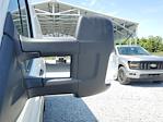 2024 Ford Transit 250 Low Roof RWD, Empty Cargo Van for sale #R0761 - photo 6