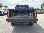 2024 Ford F-250 Crew Cab SRW 4WD, Pickup for sale #R0835 - photo 10