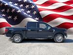 2024 Ford F-150 SuperCrew Cab 4WD, Pickup for sale #R1200 - photo 24