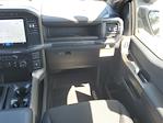 2024 Ford F-150 SuperCrew Cab 4WD, Pickup for sale #R1256 - photo 14