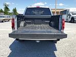 2024 Ford F-150 SuperCrew Cab RWD, Pickup for sale #R1257 - photo 10