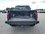 2024 Ford F-150 SuperCrew Cab RWD, Pickup for sale #R1337 - photo 10
