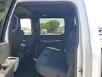 2024 Ford F-150 SuperCrew Cab RWD, Pickup for sale #R1348 - photo 10