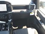2024 Ford F-150 SuperCrew Cab RWD, Pickup for sale #R1348 - photo 13