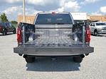2024 Ford F-150 SuperCrew Cab 4WD, Pickup for sale #R1390 - photo 10