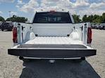 2024 Ford F-150 SuperCrew Cab RWD, Pickup for sale #R1408 - photo 10