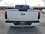 2024 Ford F-150 SuperCrew Cab RWD, Pickup for sale #SL2137 - photo 3