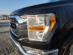 2023 Ford F-150 SuperCrew Cab 4WD, Pickup for sale #SL1132 - photo 5