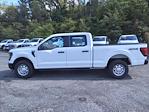 New 2024 Ford F-150 XL SuperCrew Cab 4WD, Pickup for sale #SFC34459 - photo 7