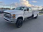 2023 Chevrolet Silverado 5500 Crew Cab DRW 4WD, Service Body Service Truck for sale #CQ01800 - photo 5