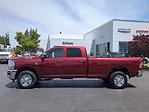 New 2024 Ram 2500 Tradesman Crew Cab 4x4, Pickup for sale #T429068 - photo 3