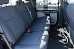 2019 Ford F-150 SuperCrew Cab SRW 4x2, Pickup for sale #FQ466A - photo 11