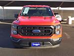 2023 Ford F-150 Regular Cab RWD, Pickup for sale #P58374A - photo 3