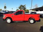 2023 Ford F-150 Regular Cab RWD, Pickup for sale #P58374A - photo 4