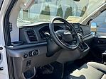 New 2024 Ford Transit 250 Low Roof RWD, Empty Cargo Van for sale #241666 - photo 5