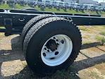 New 2025 Ford F-650 Regular Cab RWD, Cab Chassis for sale #250002 - photo 3