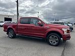 2020 Ford F-150 SuperCrew Cab 4x4, Pickup for sale #B4520 - photo 7