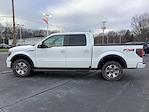 2013 Ford F-150 SuperCrew Cab 4x4, Pickup for sale #E4336P1A - photo 10